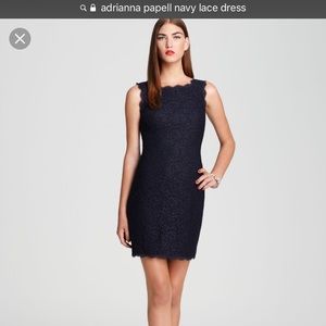 Adrianna Papell navy lace dress size 4